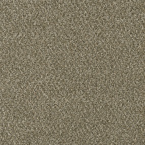 Acclaim-Sienna Sand