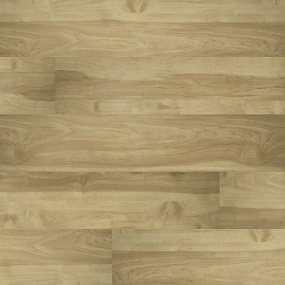 Cyrus Plank