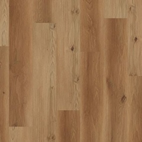 Galaxy Plank